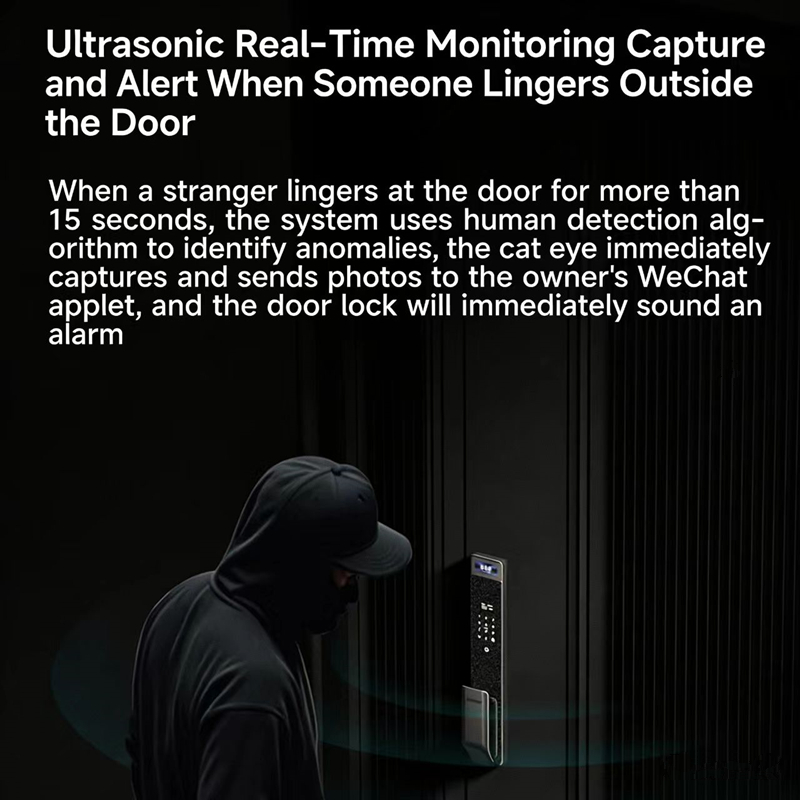 Sharp S5-FV Fully Automatic Sm - Smart Home Door Lock 评论和价格