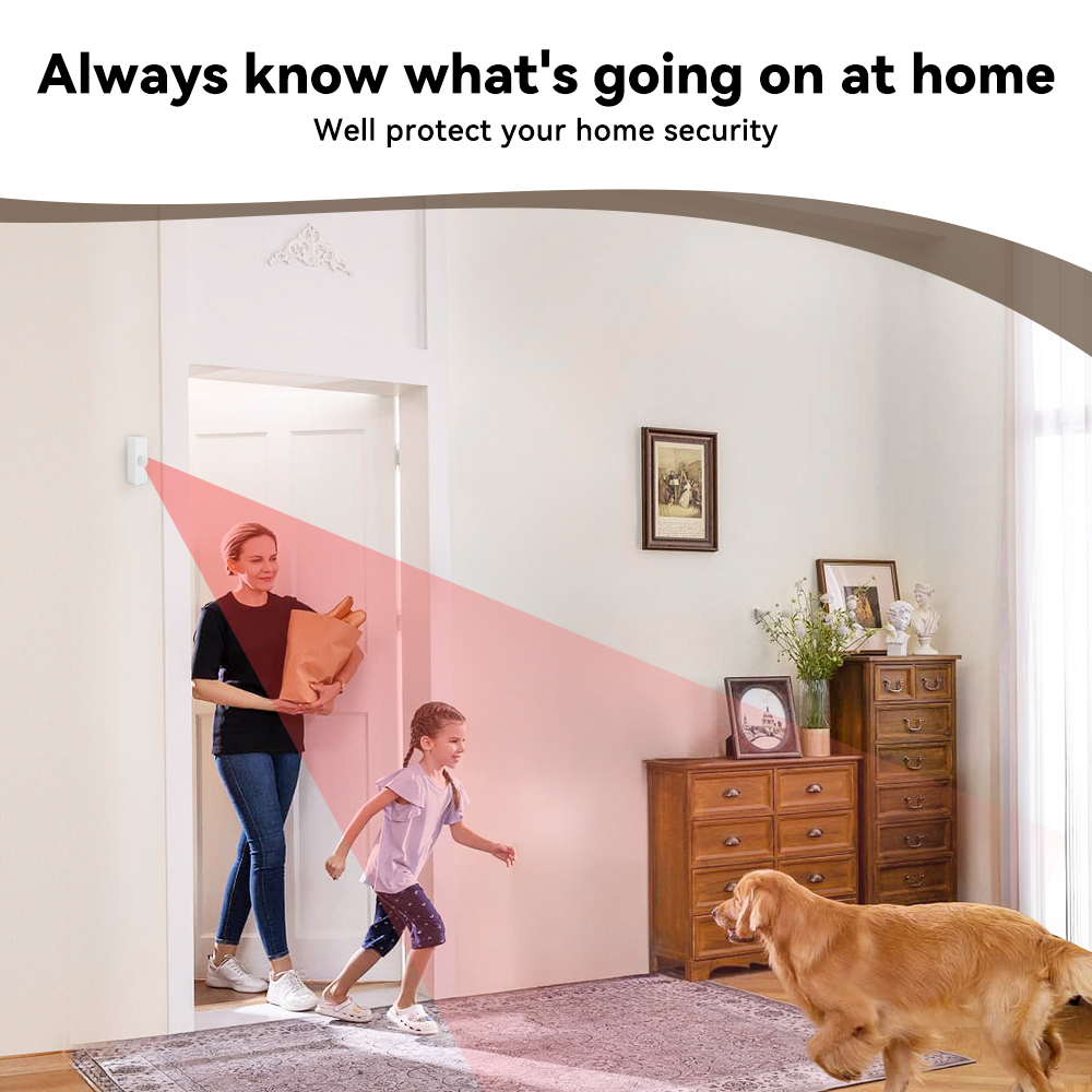 Tuya Smart PIR Motion Sensor S - Smart Home Monitor 评论和价格