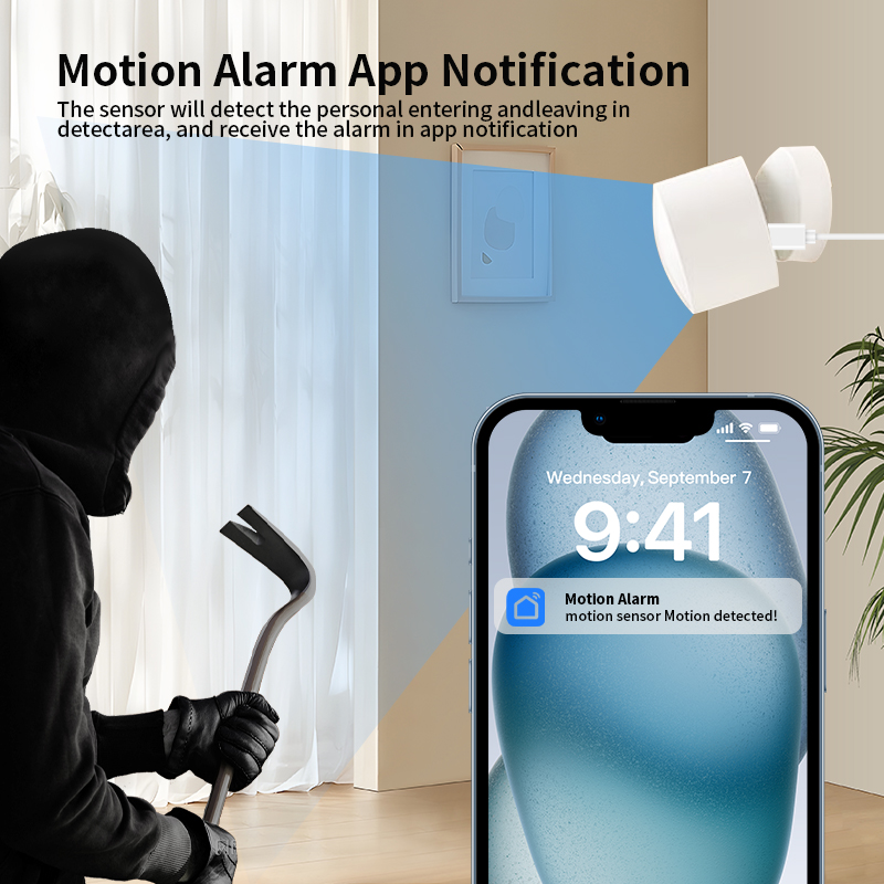 Zigbee or Wi-Fi Human Presence - Smart Home Monitor 评论和价格