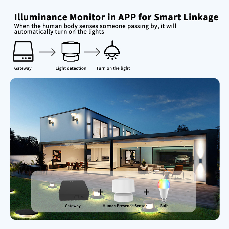 Zigbee or Wi-Fi Human Presence - Smart Home Monitor 评论和价格