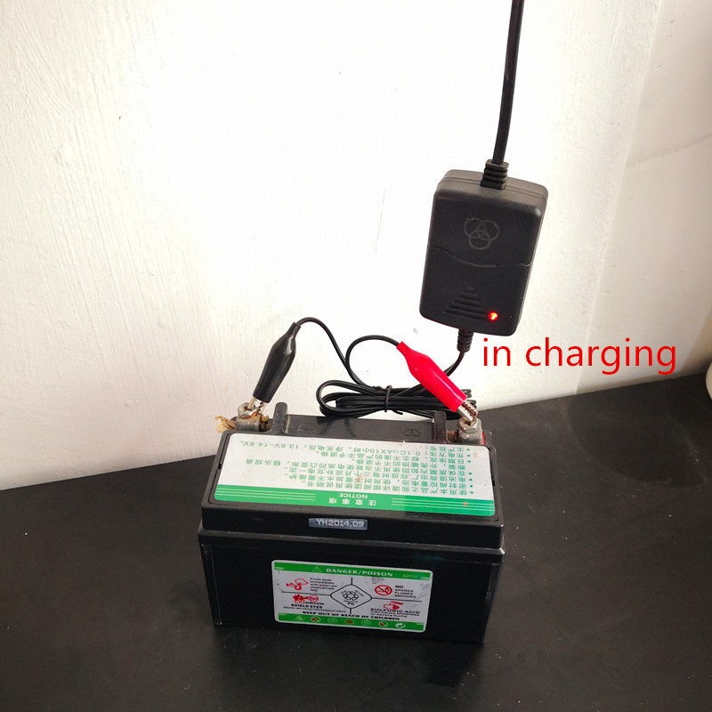 12V 1.3A Smart Motorcycle Char - Smart Home Europe 评论和价格