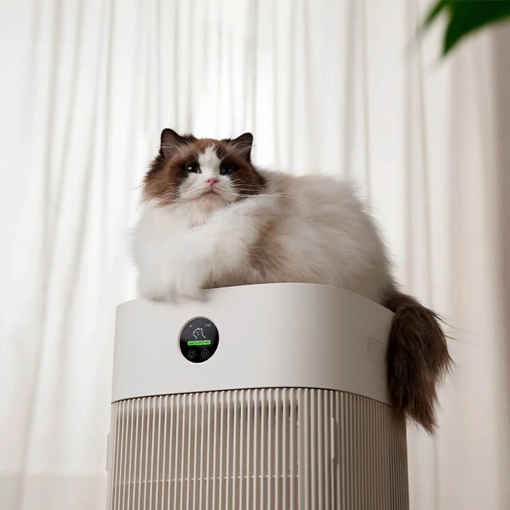 Cats Hair Fast Absorb Dogs Hai - Smart Air Purifier 评论和价格