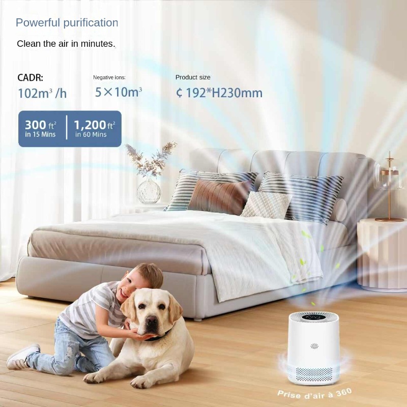 Smart Home Air Purifier with A - Smart Air Purifier 评论和价格
