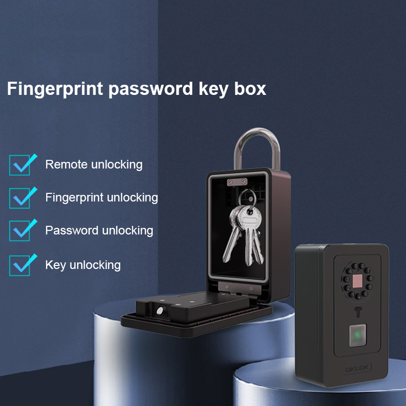 Intelligent Padlock Hang Desig - Smart Home Door Lock 评论和价格