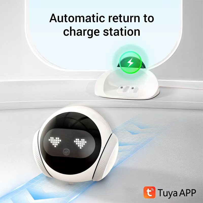Smart Electronic Pet Companion - Smart Elderly Home 评论和价格